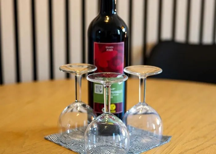 2 Sonnenberg Wi-fi Netflix アパート