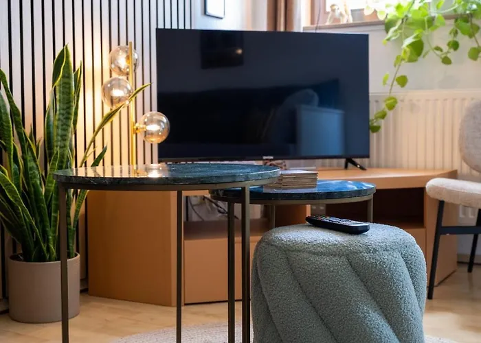 2 Sonnenberg Wi-fi Netflix ケムニッツ